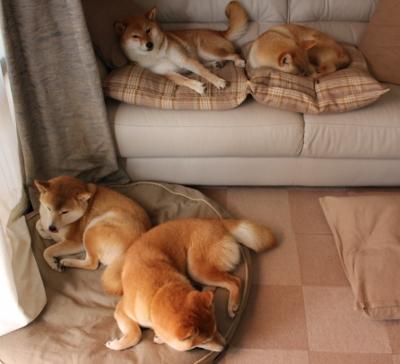 _体育精神:公平竞争背后的故事_,竞技体育公平性的体现