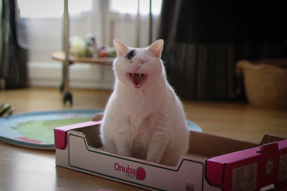 全国青少年“篮球美育”课程在全国多省上线,推广体育+艺术教育