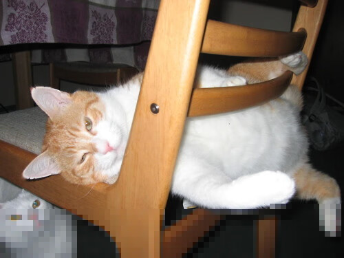 球迷投票:你支持哪场比赛瞬间最令人震撼?,最佳球员投票