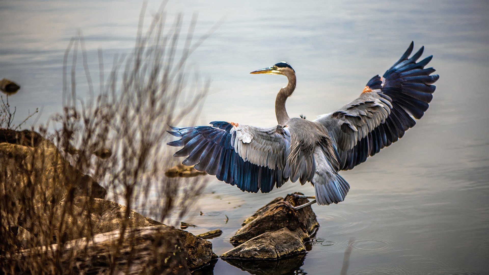 自动化与智能化:电竞比赛中AI裁判的最新应用探索,电竞赛事裁判助理