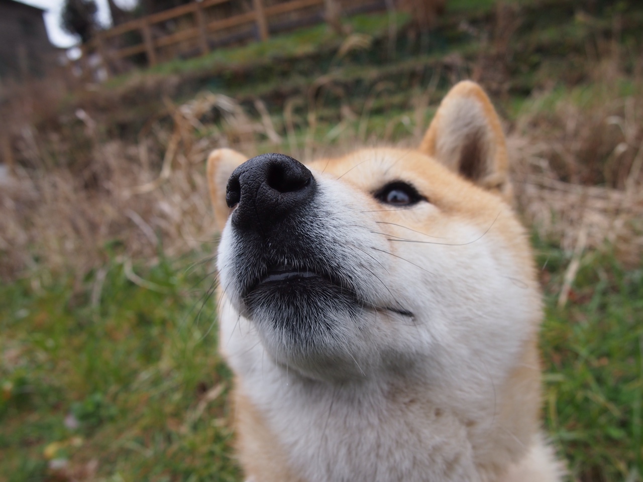 华体会hth网址-青少年“挑战未来”线上线下“篮球+科技”创新大赛在北京火热举行