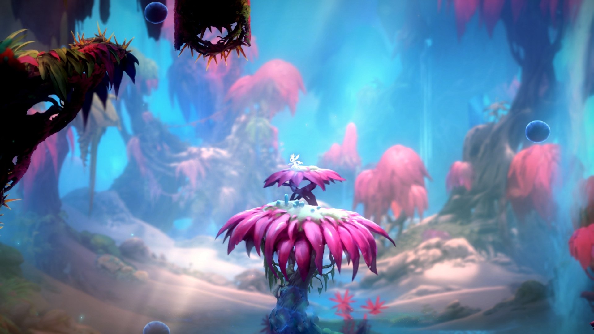 G联赛球队管理层动向,g联赛篮球