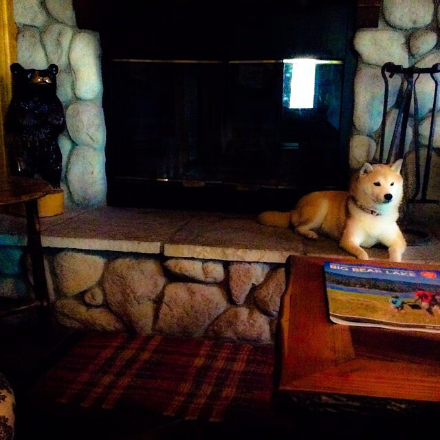 克罗地亚队遭遇瑞士的挑战,取得一场宝贵胜利,克罗地亚和瑞士球队谁更厉害