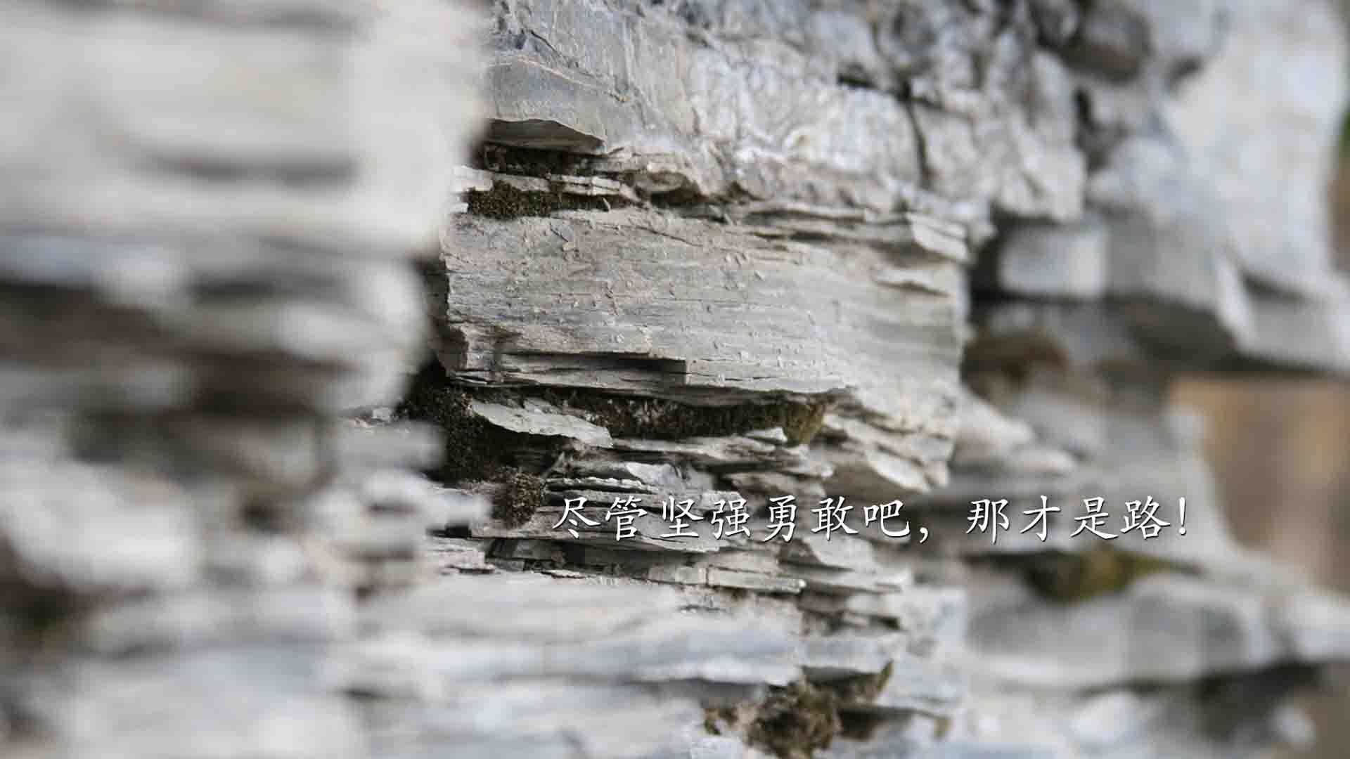 快船队球员努力训练,期待下一场胜利,快船队人员