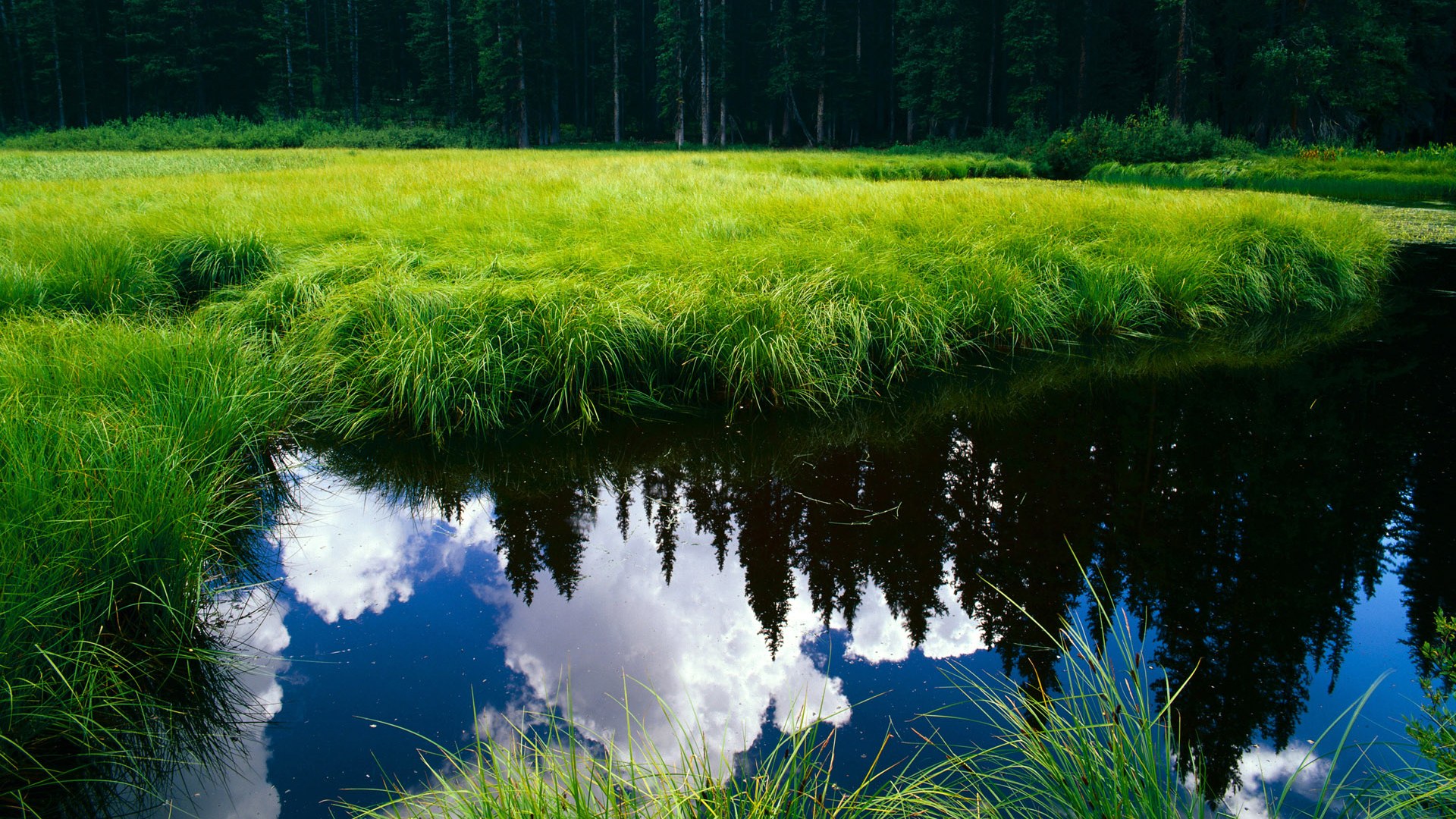 约基奇准三双掘金继续连胜，掘金官推晒约基奇训练照_控球中锋