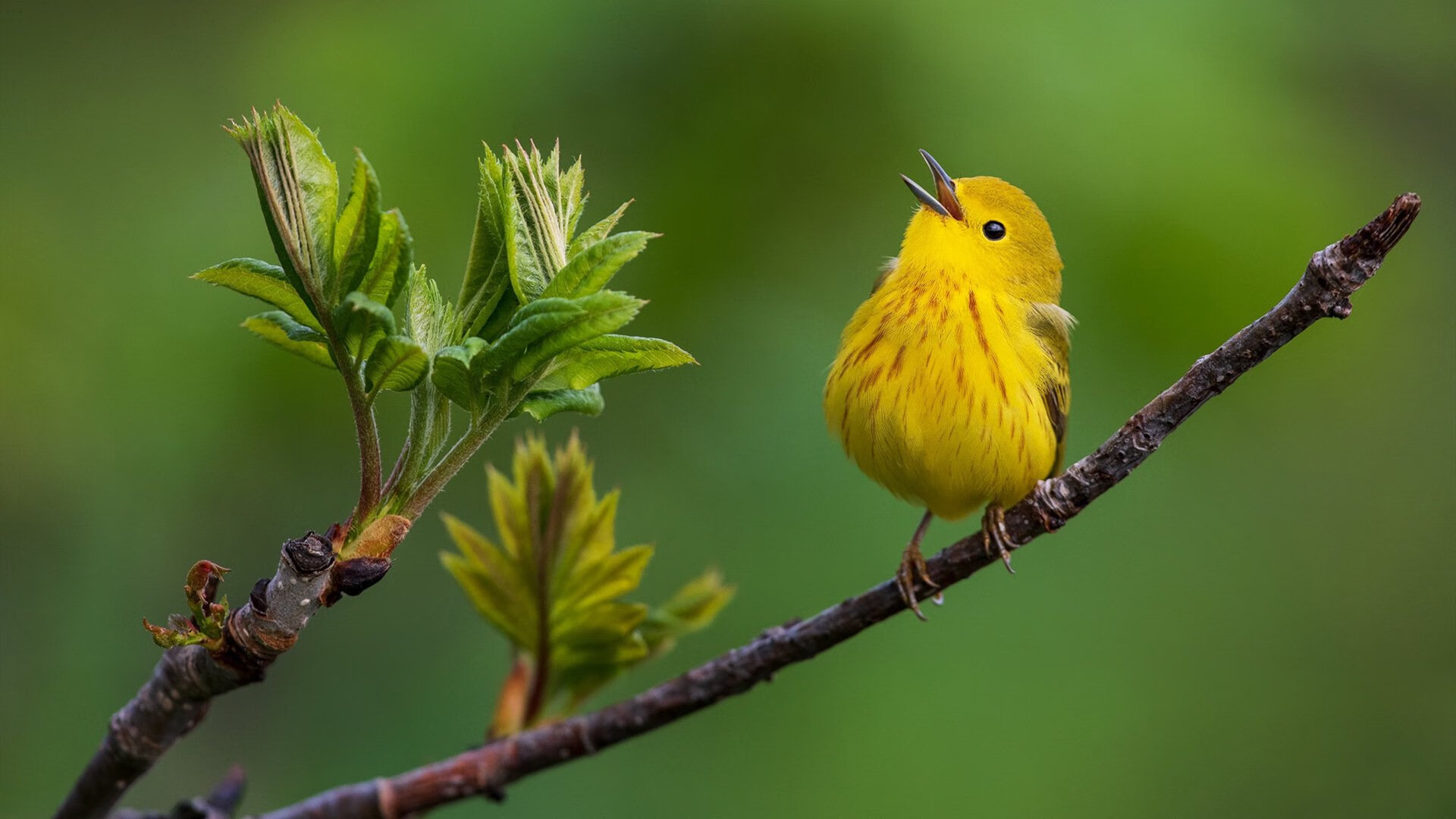 足球运动普及是否面临社会观念障碍,现代足球运动对社会的作用