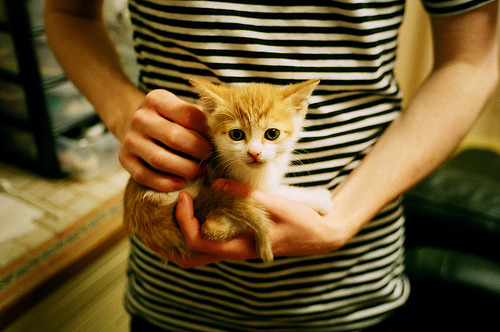 马竞主场1-0小胜阿拉维斯，艰难取胜，马竞进攻