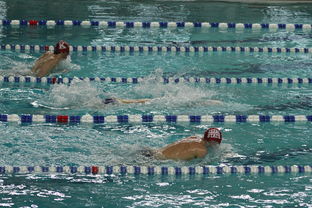 华体会hth登录-亚洲游泳冠军赛孙杨携队友力夺接力金，中国游泳冠军孙扬