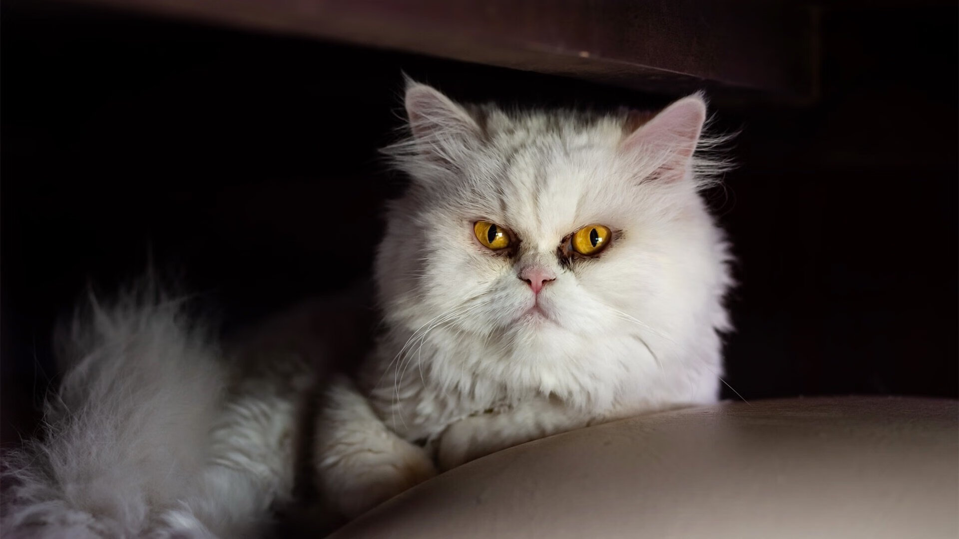 体育教学中人工智能技术应用研究,体育教学中人工智能技术应用研究论文