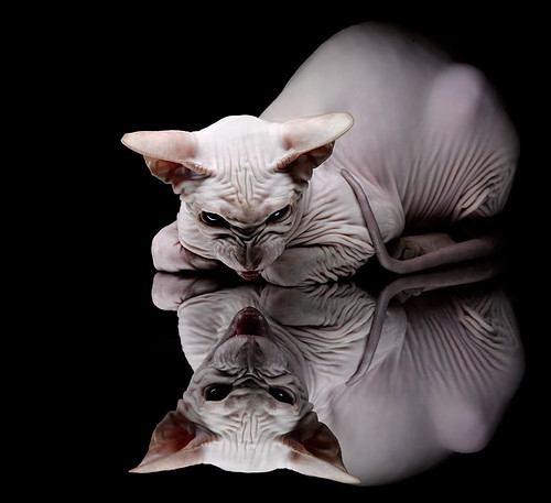 华体会hth娱乐平台-体育新闻中心上线体育内容智能生成与管理平台，体育新闻资讯