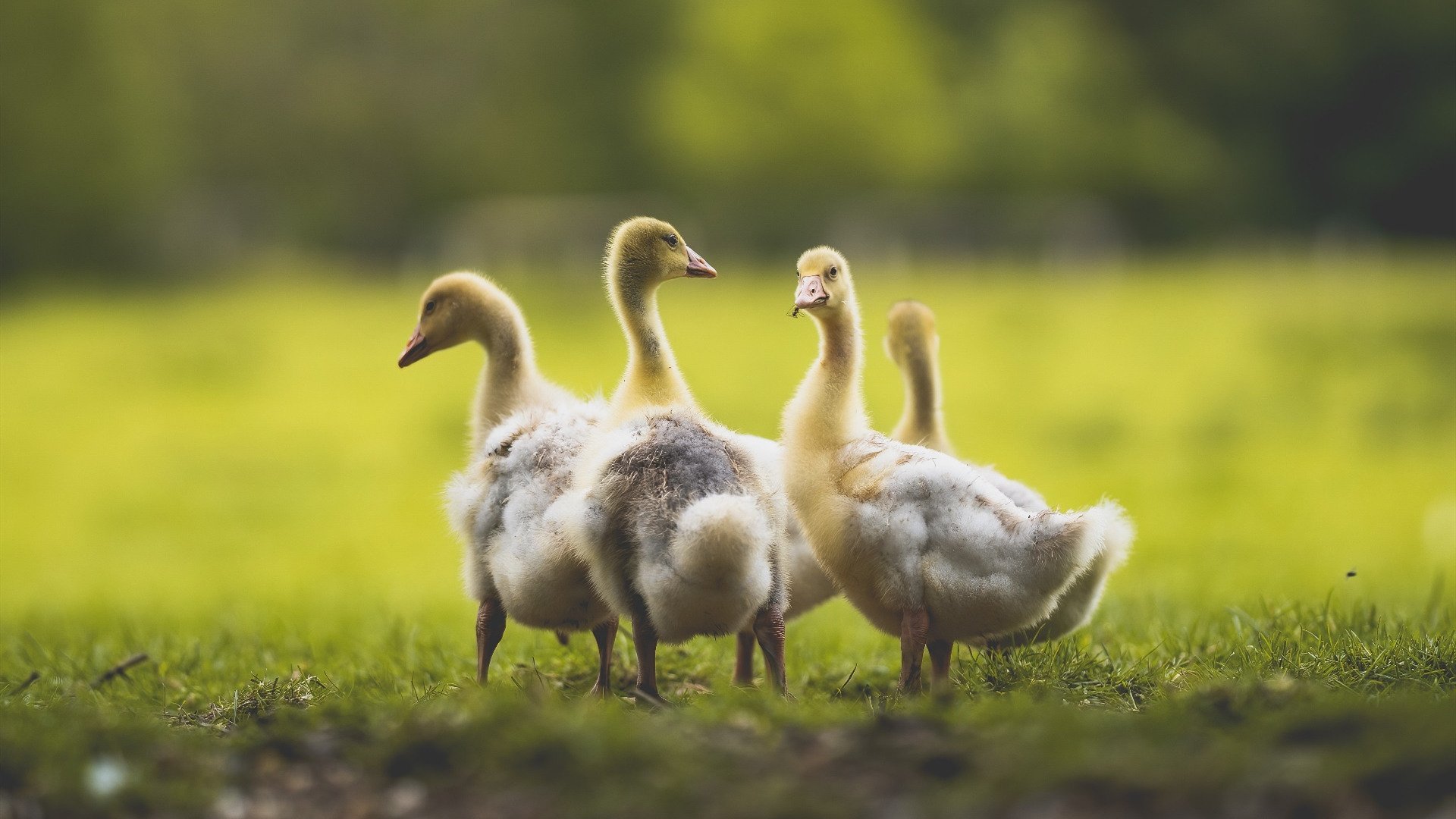 体育新闻中心上线体育内容智能生成与管理平台,体育新闻资讯