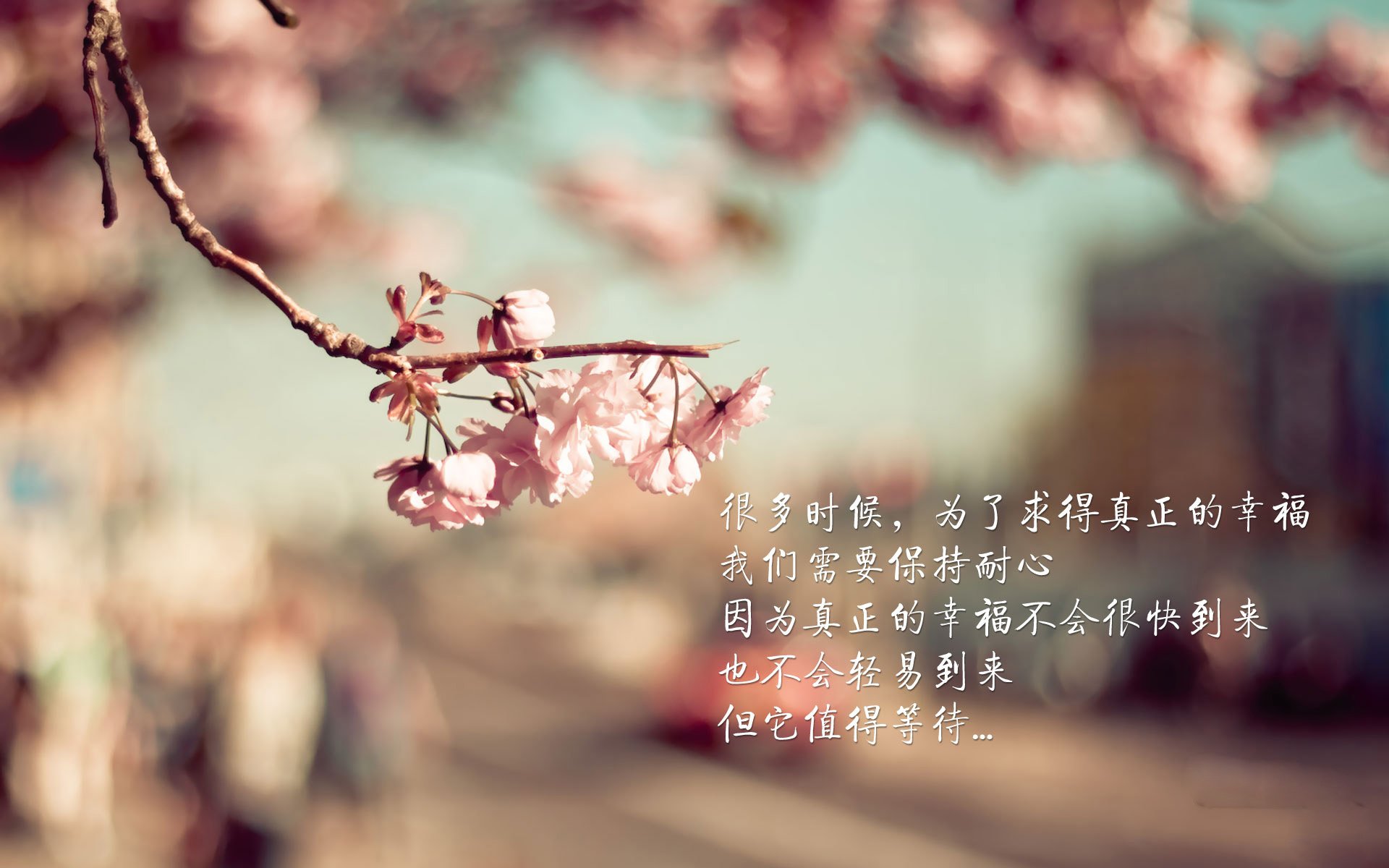 华体会登陆-全国青少年体育科技创新大赛成果斐然，全国青少年体育技能大赛