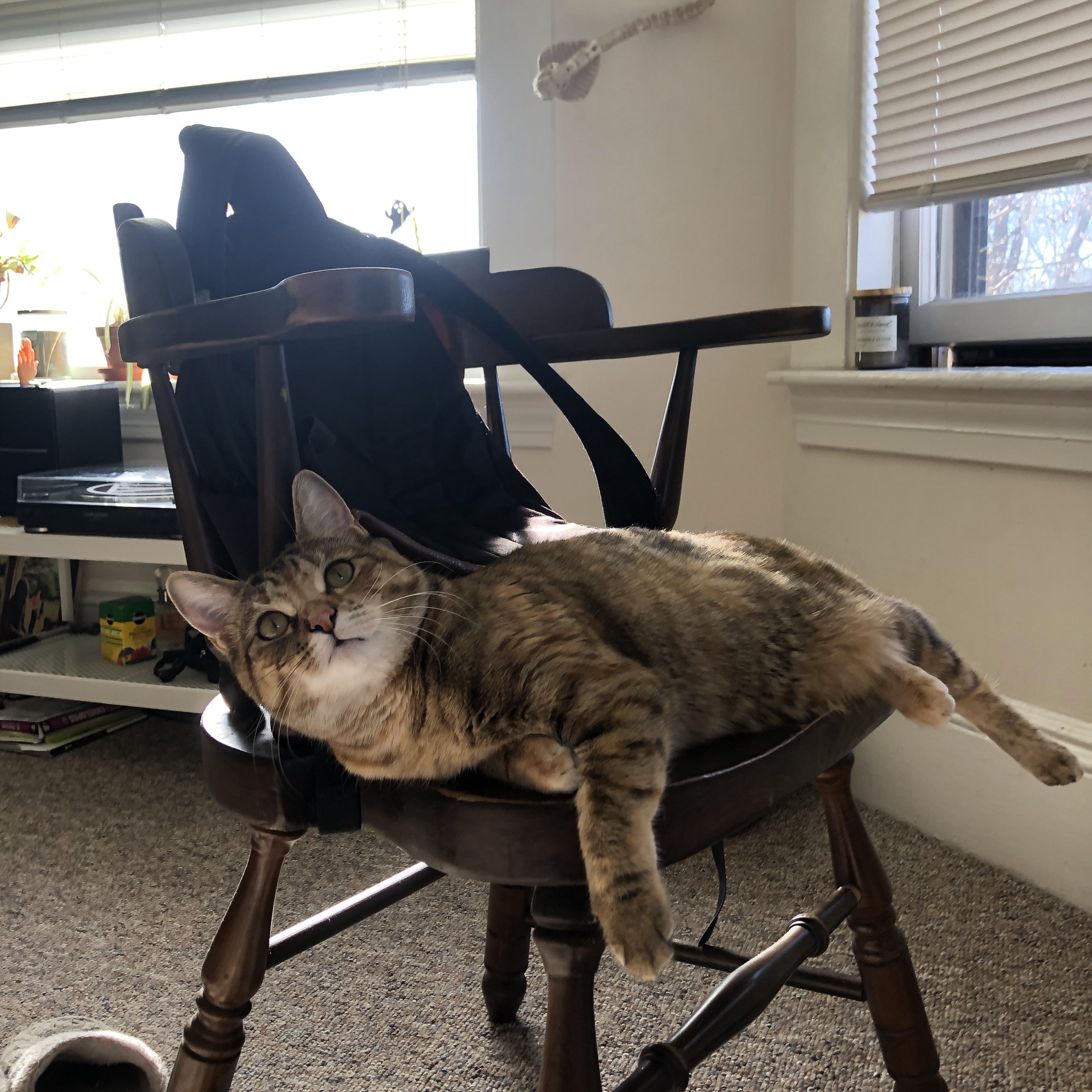 华体会hth平台下载-羽毛球奥运积分赛激战正酣 国羽全力以赴，中国羽毛球奥运积分最新排名