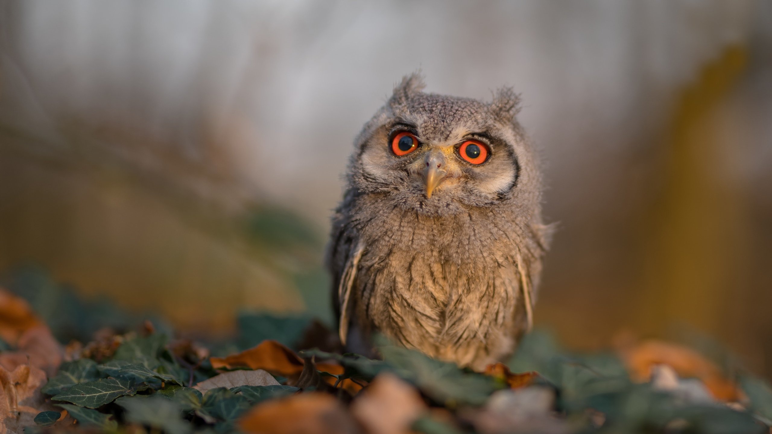 华体会hthhth app-足球传控打法再度流行重塑战局，什么叫传控足球