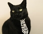 凯尔特人锋线球员分享训练感悟鼓励新人努力,凯尔特人巅峰