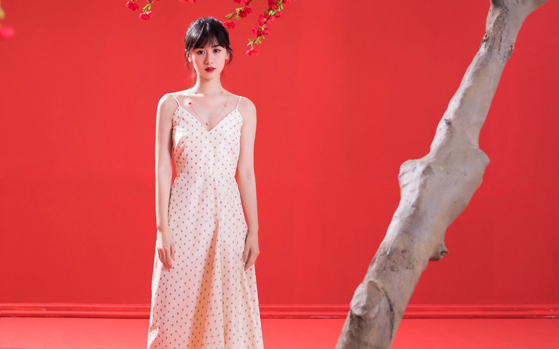 南非自由泳强将状态正佳，南非游泳