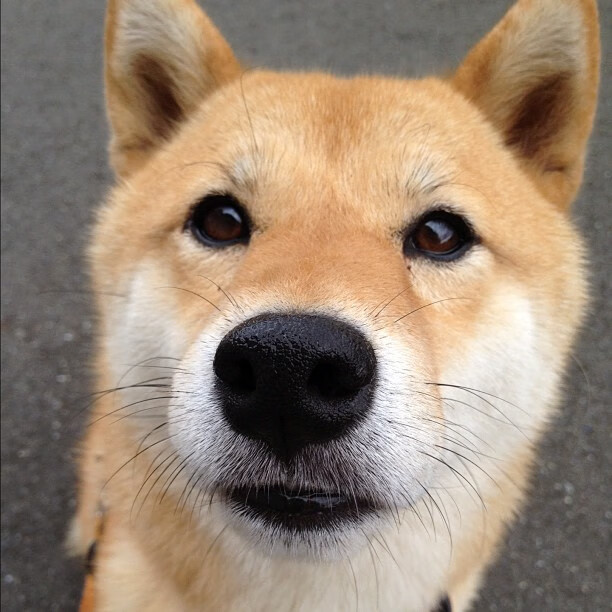 英格兰两队闪耀赛场，全球媒体聚焦，英格兰比赛集锦