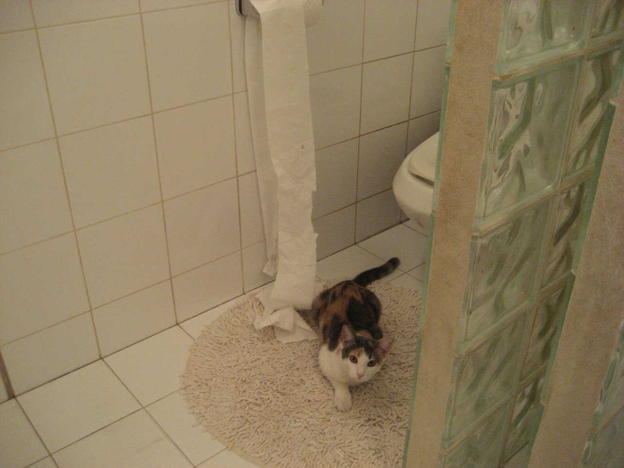 足球运动公益募捐项目成果丰硕，助力贫困地区发展，足球捐赠